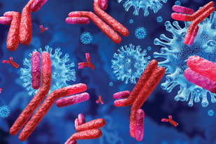 Immunoglobulin Profile